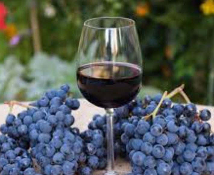 Malbec Bottle (750ml)
